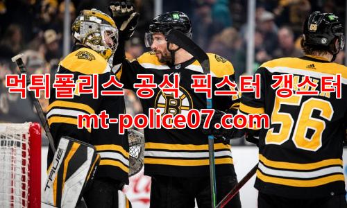 보스턴 브루인스 7