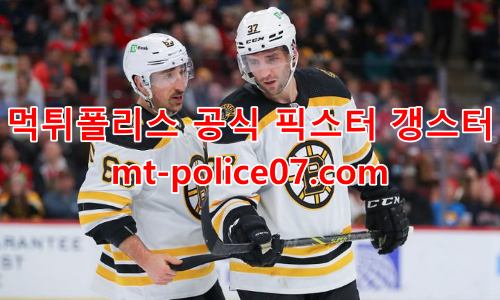 보스턴 브루인스 7