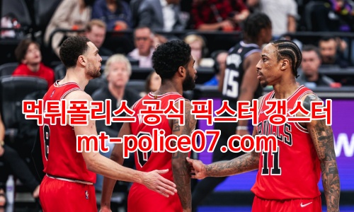 시카고 불스 7