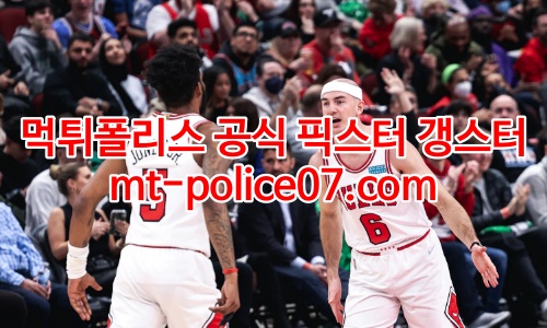 시카고 불스 7