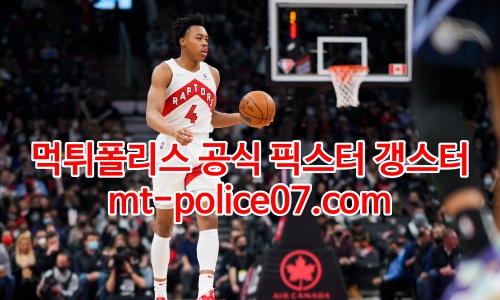 토론토 랩터스 7