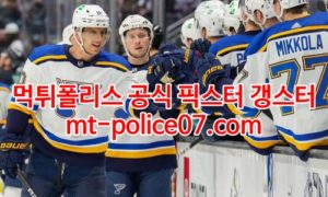 4월7일 NHL 세인트루이스 시애틀 하키분석 먹폴 갱스터