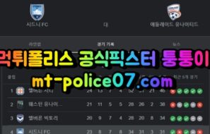 4월12일 호주A 시드니 애들레이드 분석 먹폴 퉁퉁이