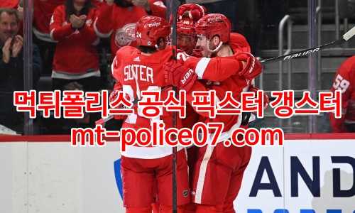 디트로이트 레드윙스 7