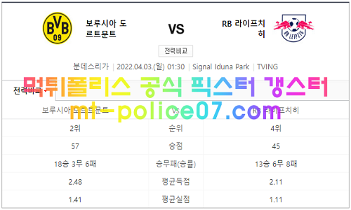 분데스리가분석