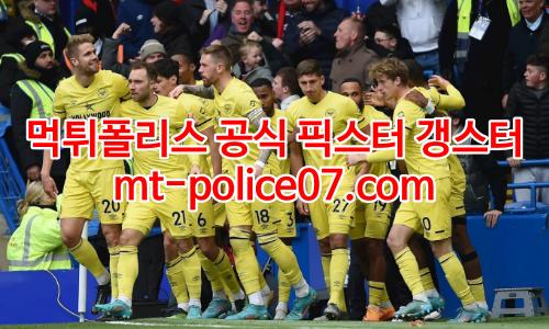 브렌트포드 7