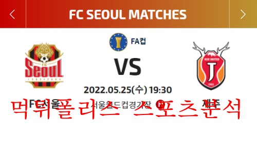 5월25일 하나원큐FA컵 FC서울 제주유나이티드 16강 분석 먹튀폴리스