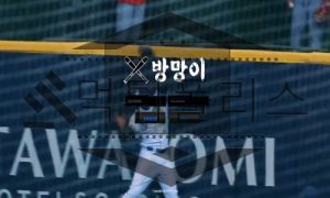 방망이 토토 신규사이트 먹튀 이력 조사중