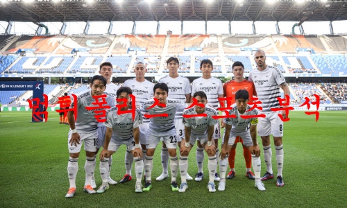 성남fc
