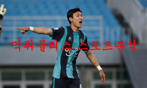안산그리너스