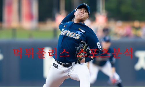 NC다이노스