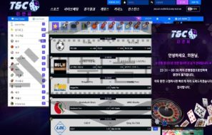 TNC 토토 신규사이트 먹튀 이력 조사중