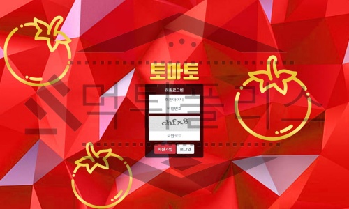 토마토 