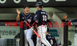 8월11일 KBO 두산베어스 NC다이노스 국내 프로야구 분석 먹튀폴리스