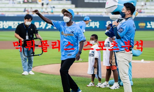 nc다이노스