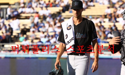 마이애미말린스