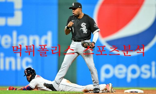 시카고w