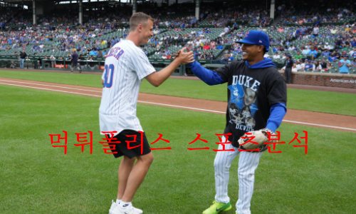 시카고컵스