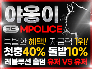 야옹이토토