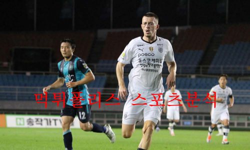 전남드래곤즈