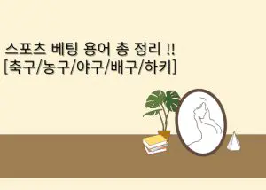 안전놀이터 스포츠 베팅 규정 및 용어 총정리 !!