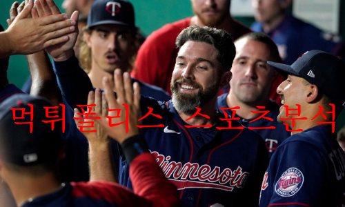 미네소타트윈스
