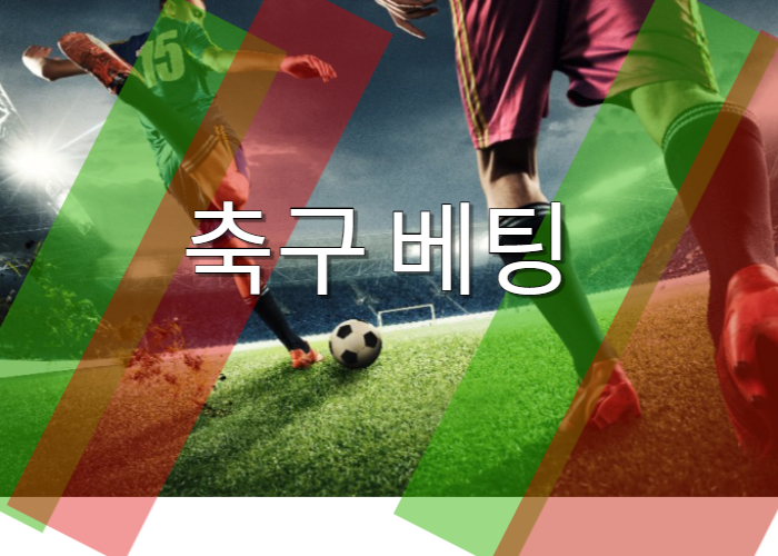 스포츠 베팅 규정