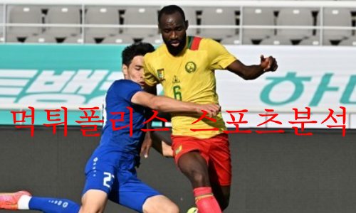 카메룬