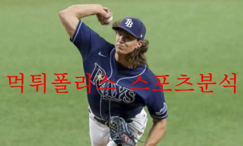 탬파베이레이스