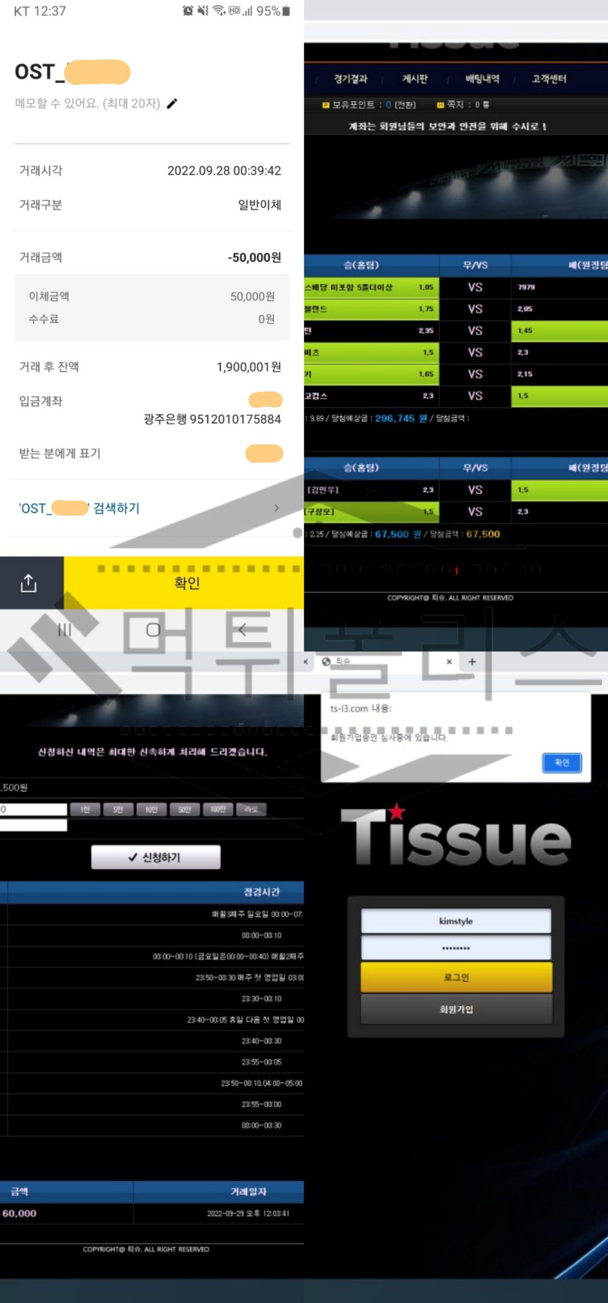 티슈 먹튀사이트