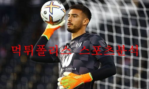 풀럼fc