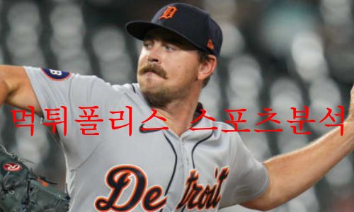 디트로이트타이거즈