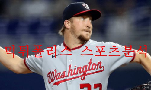 워싱턴내셔널스