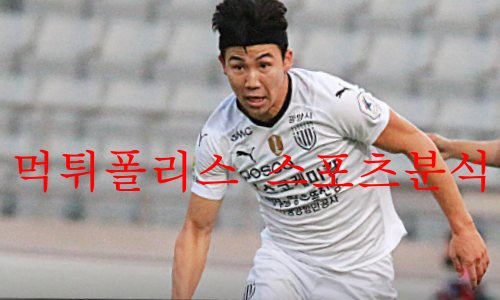 전남드래곤즈
