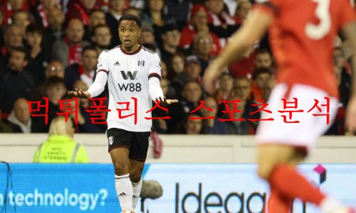 풀럼fc