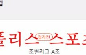 11월26일 FIFA카타르월드컵 네덜란드 에콰도르 축구분석 먹튀폴리스