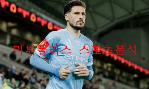 멜버른시티fc