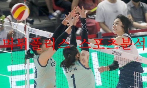 현대건설배구