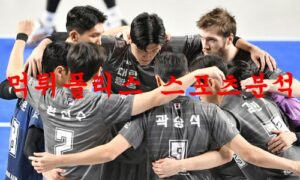 12월22일 V리그 대한항공 점보스 KB손해보험 스타즈 분석 먹튀폴리스