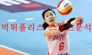 12월14일 V리그 페퍼저축은행 AI페퍼스 KGC인삼공사 프로배구단 분석 먹튀폴리스