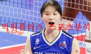 12월2일 V리그 IBK기업은행 알토스 흥국생명 핑크스파이더스 분석 먹튀폴리스 12월2일 V리그 IBK기업은행 알토스 흥국생명 핑크스파이더스 분석 먹튀폴리스