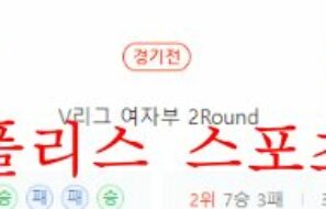 12월2일 V리그 IBK기업은행 알토스 흥국생명 핑크스파이더스 분석 먹튀폴리스