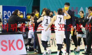 12월9일 WKBL KB스타즈 삼성생명 블루밍스 여농 분석 먹튀폴리스