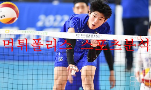 삼성화재블루팡스