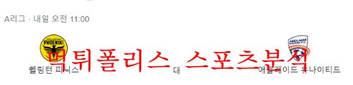 12월17일 호주A리그 웰링턴 피닉스FC 애들레이드 유나이티드 분석 먹튀폴리스