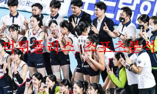 현대건설배구단