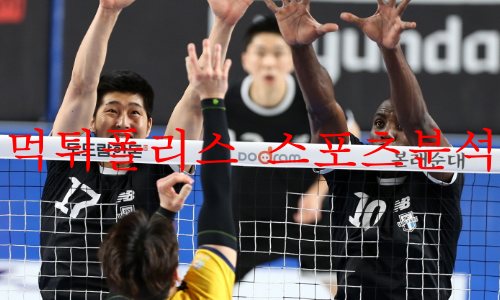 현대캐피탈스카이워커스
