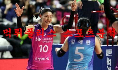 흥국생명
