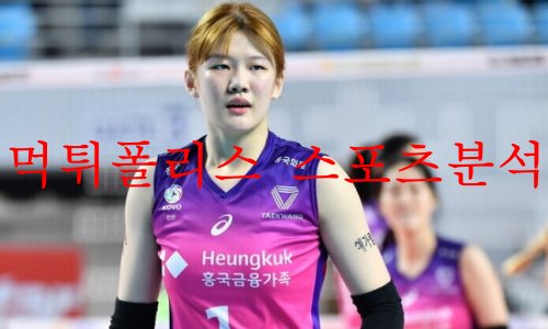 흥국생명핑크스파이더스