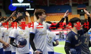 1월3일 V리그 우리카드 우리WON KB손해보험 스타즈 분석 먹튀폴리스